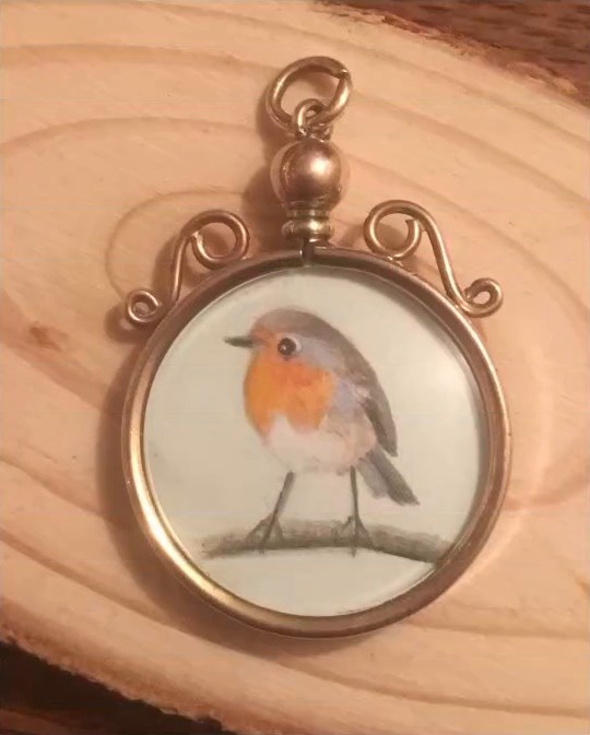 A tiny robin. In an antique Edwardian rolled gold locket