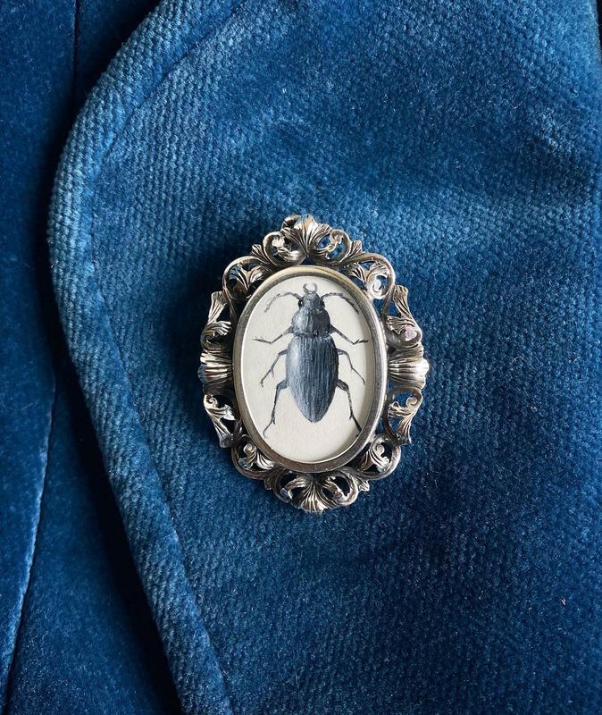 Beetle. In an ornate antique brooch