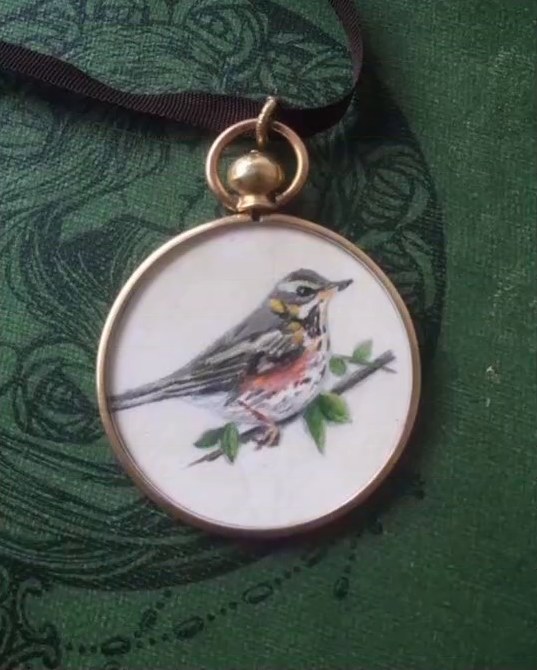 Redwing. In an antique rolled gold locket