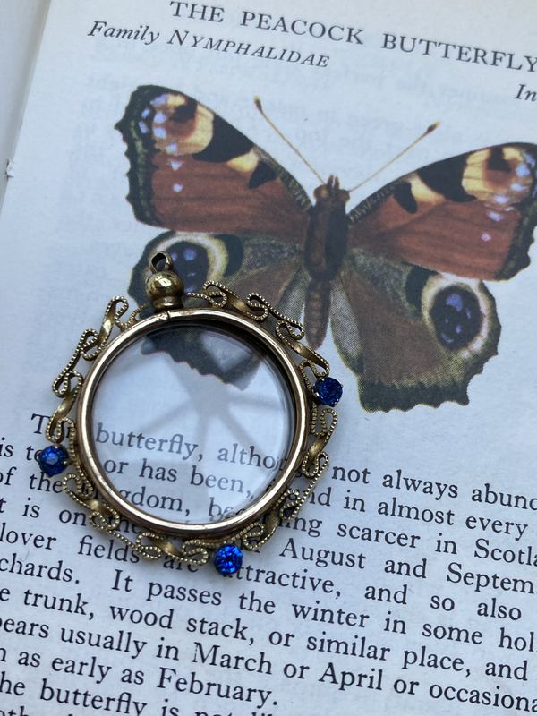 A peacock butterfly locket on an old field guide