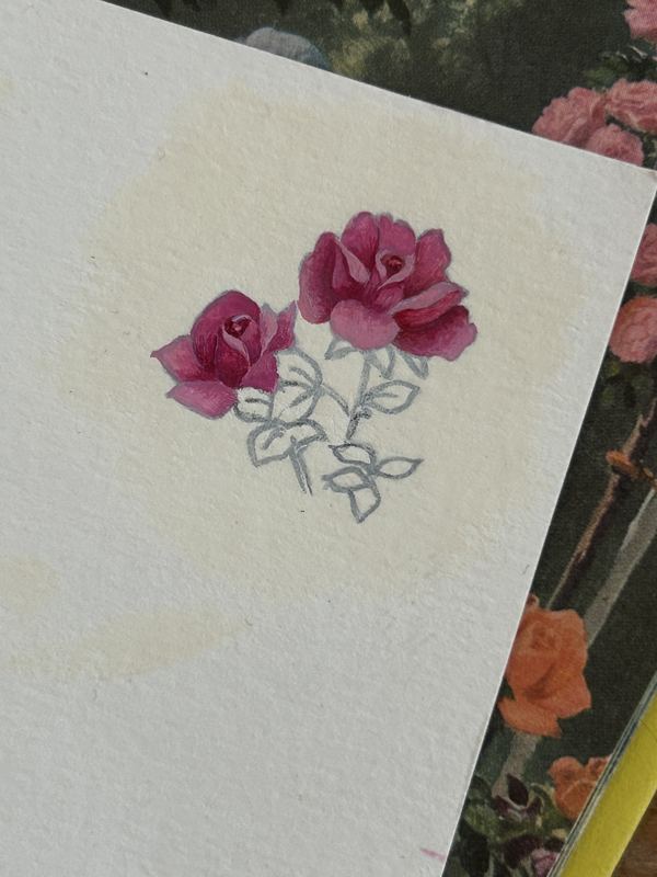 Pink roses in progress